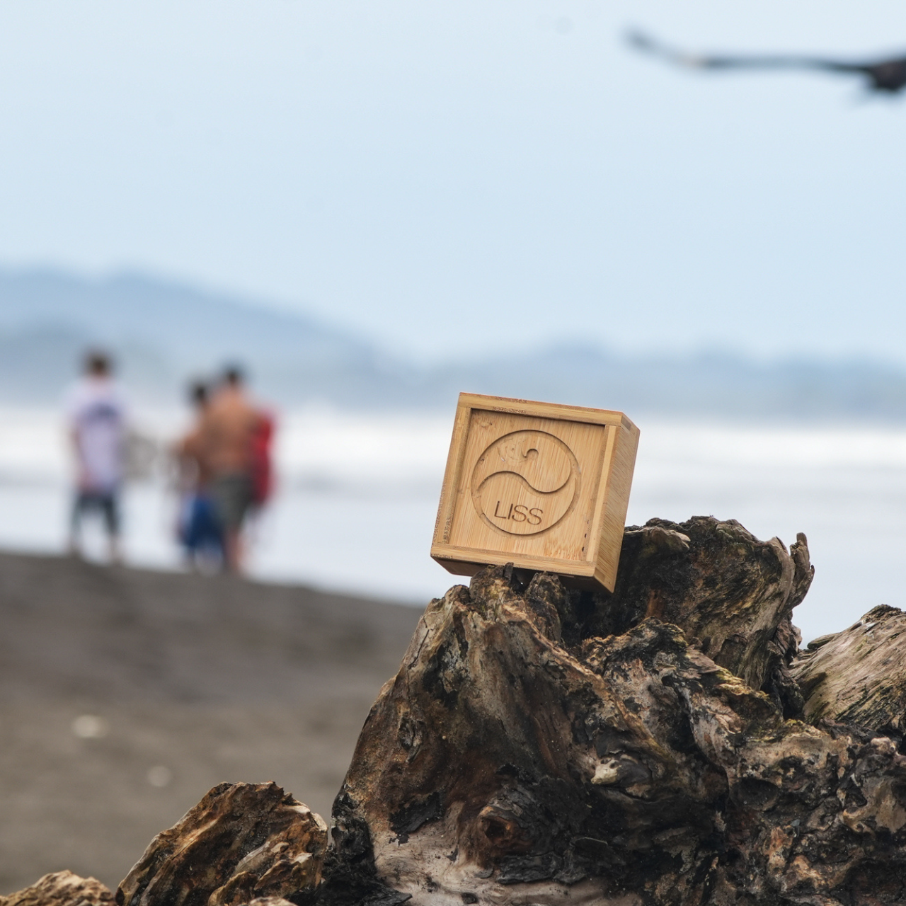 Wooden LISS logo box on driftwood at a beach, with waves and people in soft focus