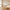The Go Hammock (Pre-sale)